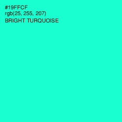 #19FFCF - Bright Turquoise Color Image